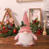 The Gnomerry™ Christmas Luminous Decoration
